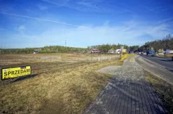 1441 - zdjęcie nr 3