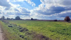 1463 - zdjęcie nr 3