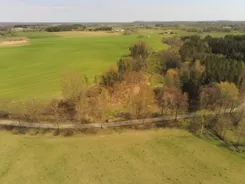 1274 - zdjęcie nr 4