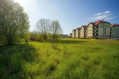 1437 - zdjęcie nr 4