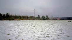 1250 - zdjęcie nr 3