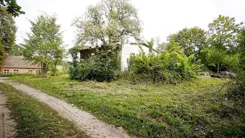 1309 - zdjęcie nr 2