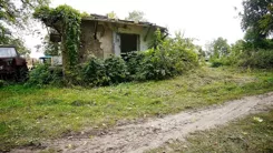 1309 - zdjęcie nr 3