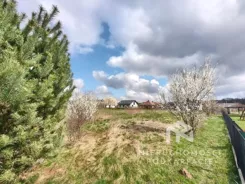 44/18541/OGS - zdjęcie nr 2