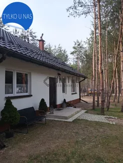 569/10630/ODS - zdjęcie nr 2