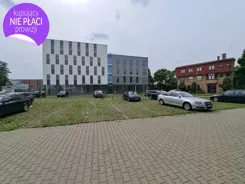 6/10630/OLW - zdjęcie nr 5