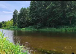 796883 - zdjęcie nr 3