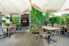 237380 - zdjęcie nr 3