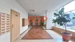 SDP252025 - zdjęcie nr 1