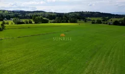 1312-GS-Dzj9ONuoY8 - zdjęcie nr 4
