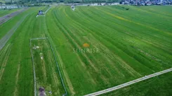 1168-GS-Dzj9ONuoY8 - zdjęcie nr 0