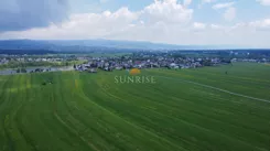 1168-GS-Dzj9ONuoY8 - zdjęcie nr 4