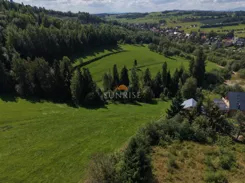 1238-GS-Dzj9ONuoY8 - zdjęcie nr 2