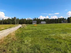 1269-GS-Dzj9ONuoY8 - zdjęcie nr 3