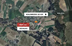 1103-GS-Dzj9ONuoY8 - zdjęcie nr 3