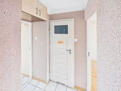 1335-MS-Dzj9ONuoY8 - zdjęcie nr 4