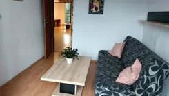 10537084 - zdjęcie nr 4