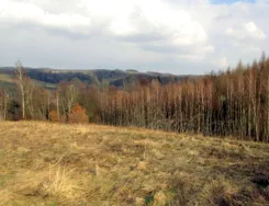 836674 - zdjęcie nr 3