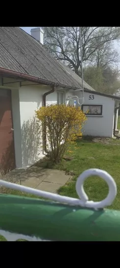 836133 - zdjęcie nr 2