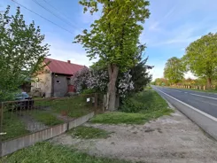 837433 - zdjęcie nr 0