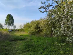 837433 - zdjęcie nr 4