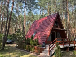 837116 - zdjęcie nr 1