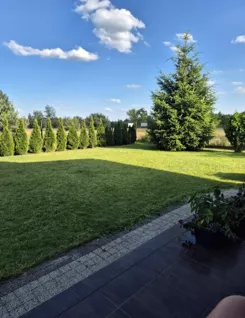 837578 - zdjęcie nr 4