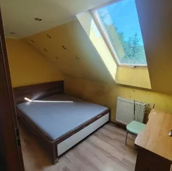 837381 - zdjęcie nr 1