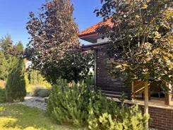 837846 - zdjęcie nr 1