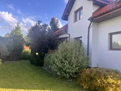 837846 - zdjęcie nr 2