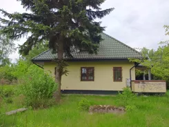833816 - zdjęcie nr 1