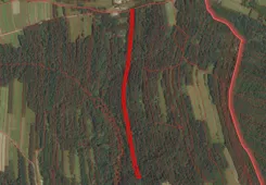 837771 - zdjęcie nr 0