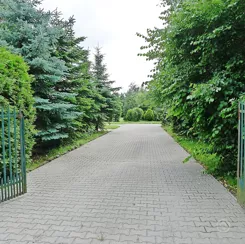 836719 - zdjęcie nr 2