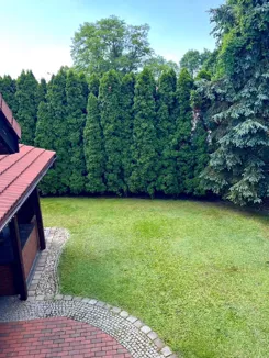 836627 - zdjęcie nr 3