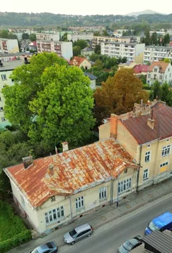 835677 - zdjęcie nr 2