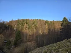 836438 - zdjęcie nr 2