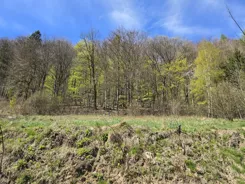 836438 - zdjęcie nr 4