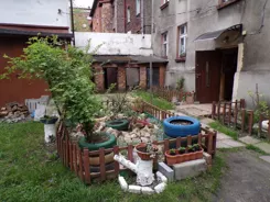 837183 - zdjęcie nr 3