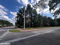 837774 - zdjęcie nr 1