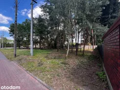 837774 - zdjęcie nr 3