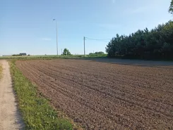 836015 - zdjęcie nr 4