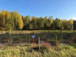 837959 - zdjęcie nr 4