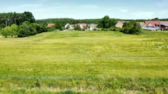 836855 - zdjęcie nr 2