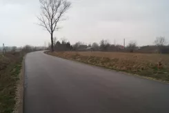 833580 - zdjęcie nr 0