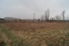 833580 - zdjęcie nr 1
