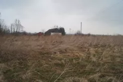 833580 - zdjęcie nr 2