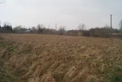 833580 - zdjęcie nr 3