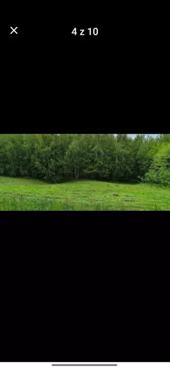 837562 - zdjęcie nr 0