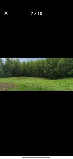 837562 - zdjęcie nr 2