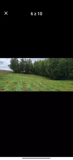 837562 - zdjęcie nr 4